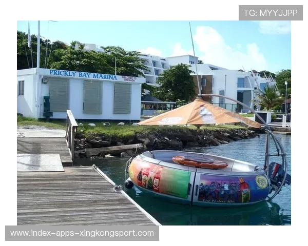 格林纳达棒球运动快速发展，格林纳达棒球运动快速发展的标志是